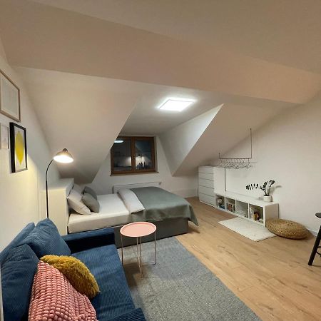 Appartement Proste Terezska à Olomouc Extérieur photo